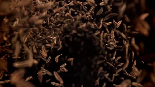 Cumin Seeds Fall Down Filmed on a Highspeed Camera at 1000 Fps