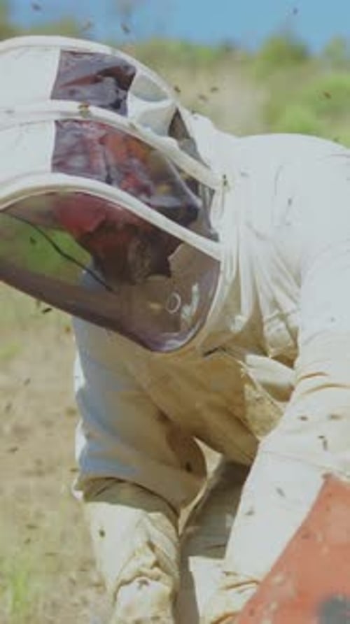Lots of Bees Flying Around a Beekeeper While Working