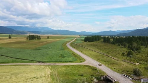 Car Driving on a Straight Asphalt Road Among Agricultural Fields and Trees