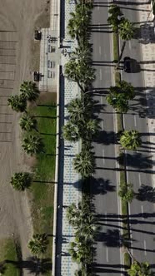 Aerial View of Palm-Lined Street in Spain