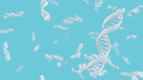 White DNA Double Helix Strand Rotates on Blue Background Loop Animation Science and Biotechnology