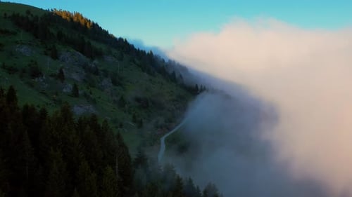 Mountain Road And Forests In The Fog