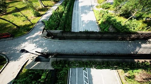 Aerial View of Beautiful Park