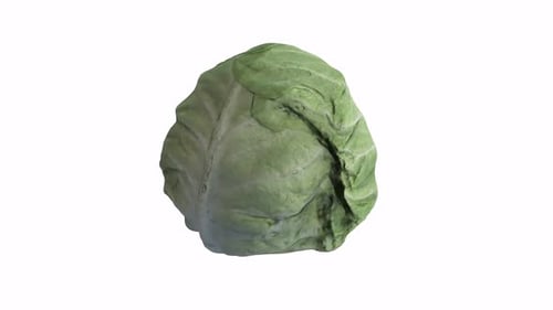 Cabbage 3d food rotating loop