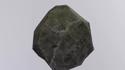 Roca texturizada con musgo y líquenes