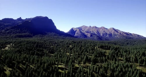 Stunning View of Rugged Mountains Surrounded By Lush Evergreen Forest