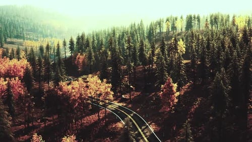 Scenic Autumn Landscape with Winding Road Through Colorful Trees in a Forest