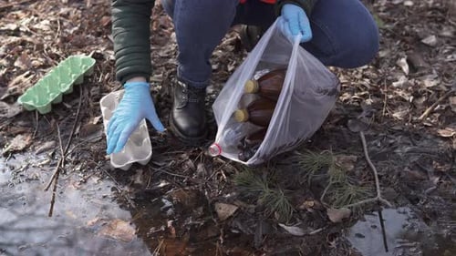 Los activistas recolectan basura en el parque y la sacan para reciclarla.