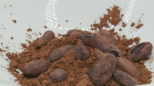 Tigela de grãos de cacau e cacau em pó girando lentamente