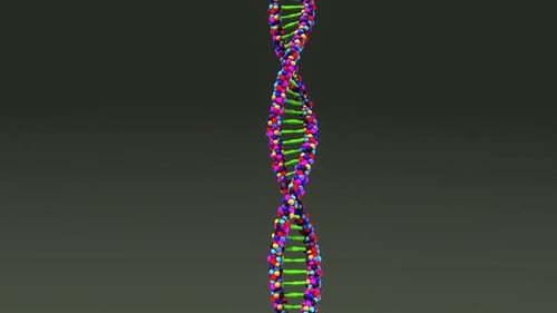 Dupla hélice colorida de DNA que simboliza genética e biologia