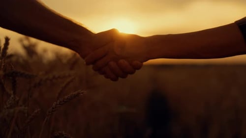 Teamwork and Business Deal Man and Woman Shaking Hands Successful Negotiation Closeup View of People