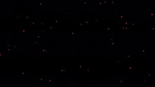 Falling Maple Leaves on Transparent Alpha 4K