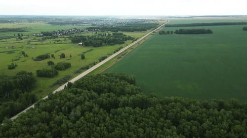 Vast Green Fields and Dense Forest Stretch Alongside a Quiet Country Road Creating a Peaceful Rural