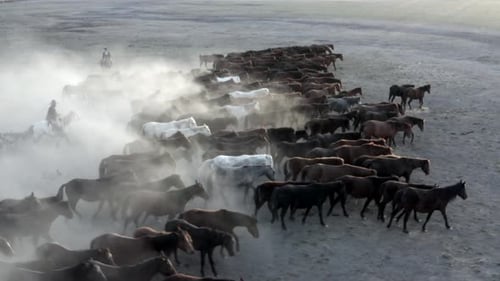 Horse Herd and Shepherds