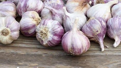 Garlic on wooden vintage background. Seedlings for planting garlic.