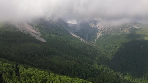 Beautiful mountain peaks in the clouds surrounded by a dense green forest. Alpine atmosphere.