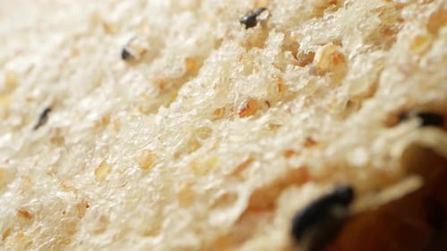 Macro View of Texture of Whole Wheat Bread