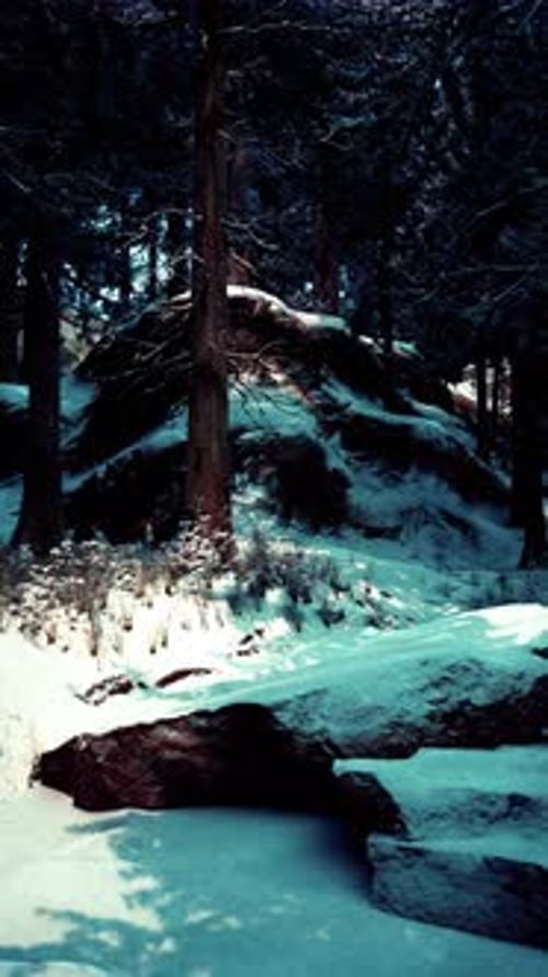 Winter Wonderland with Snow Covered Rocks and Trees in a Serene Forest Scene