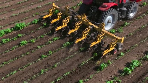 Tractor Plowing Rows of Crops Aerial Shot