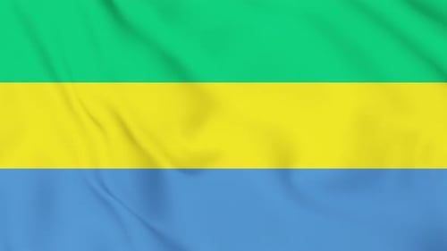 Realistic Waving Flag of Gabon Animation
