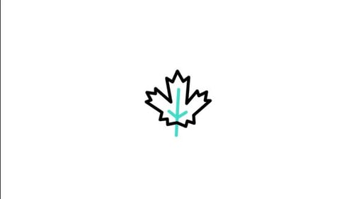 Leaf Animated Icon