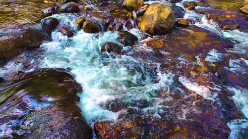 Schnell fliegender Fluss im Wald