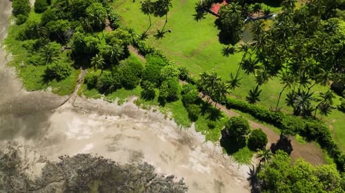 Tropical Beach Meets Green Landscape Aerial View