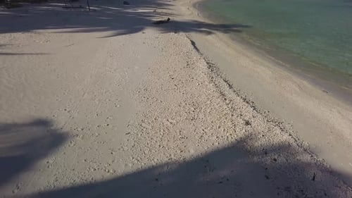 Aerial drone shot of a tropical beach and lagoon with long shadows of coconut palm trees. starting l