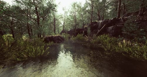 Tranquil Forest Landscape with a Reflective Pond Surrounded By Lush Greenery