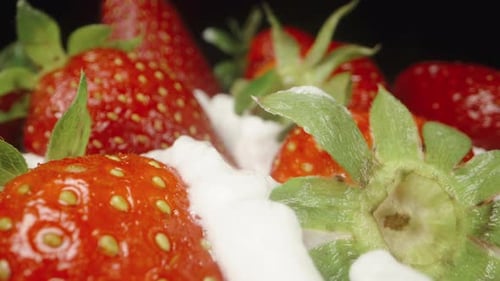 Strawberries scattered on top of the layer of whipped cream. Dolly slider extreme close-up.