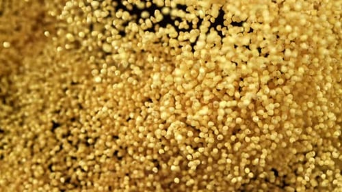 Piles of golden grains falling against black background