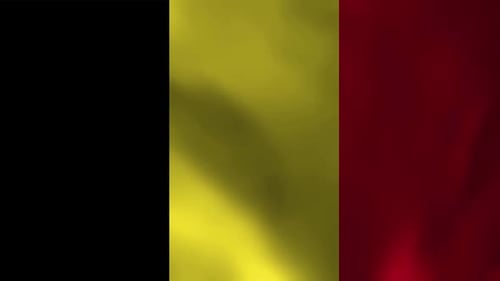 Fluid Animation of Waving Belgian Flag