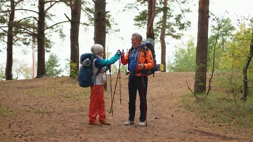 Hiking Tourism Adventure Senior Couple Man Woman Enjoying Outdoor Recreation Hiking in Forest Happy