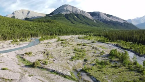 Amazing shot of the mountain river and forest in Rocky Mountains during summer