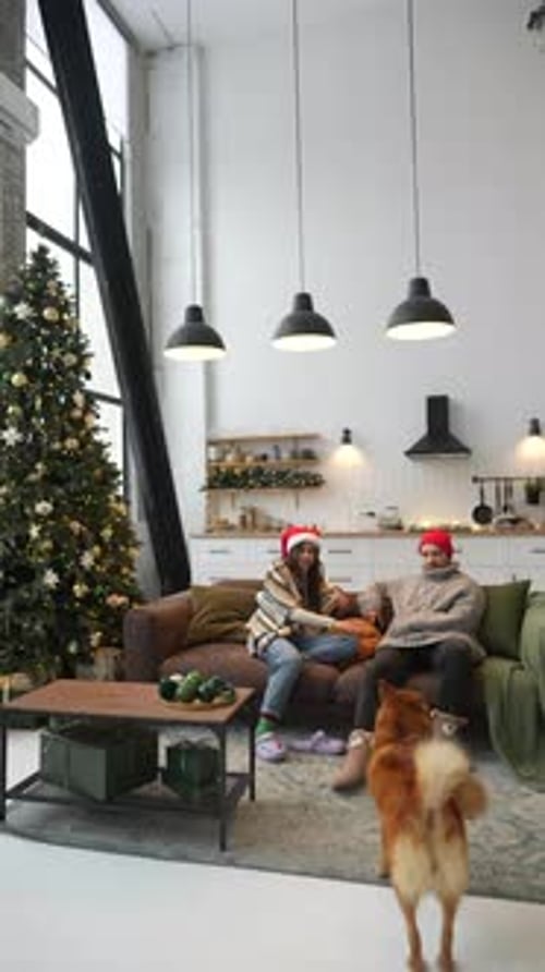 Couple with Dog Enjoying Christmas in Modern Apartment