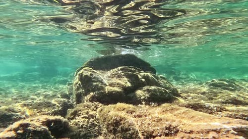 Seabed in Sardinia in the Summer