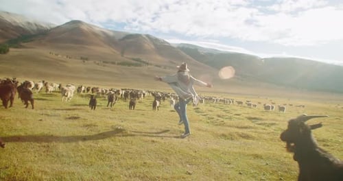 Woman Runs Among Sheep and Goats in Rural Field