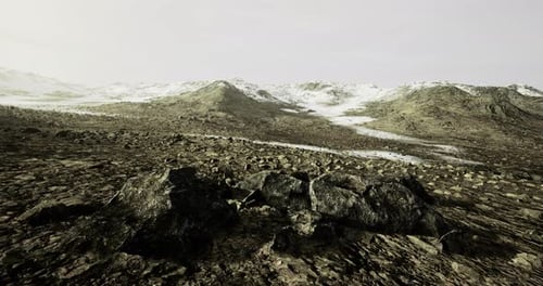 Lonely Rocky Landscape Beneath a Cloudy Sky with Distant Snowy Peaks