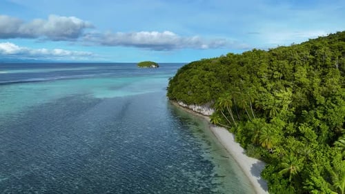 Aerial view of a lush island with beach, Indonesia.