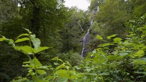 Tall waterfall running through a beautiful peaceful forest scene