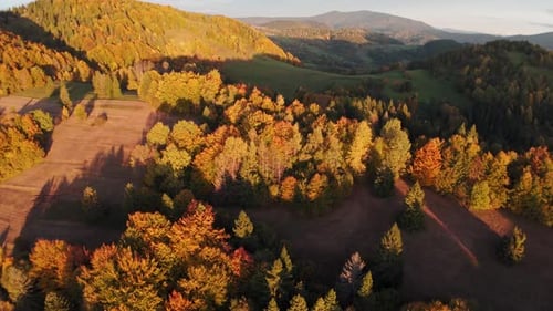Aerial Drone Shot with Lateral Orbit Motion Over Colorful Autumn Forest and Green Mountain Slopes in
