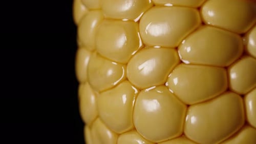 Vibrant Yellow Corn on the Cob Macro Shot