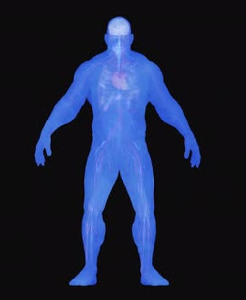 Futuristic Human Body Anatomy 3D Rotation
