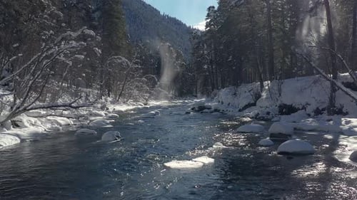 Beautiful snow scene forest in winter. Flying over of river and pine trees covered with snow.