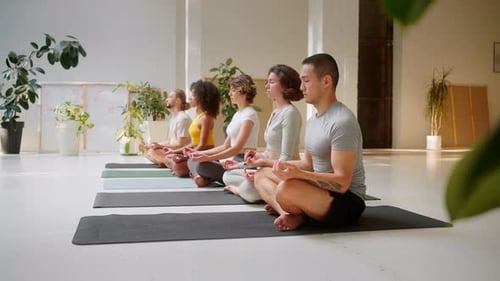 Motivated Group of Five People Practicing Yoga in Studio