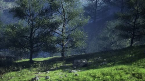 Carpathian Mountains Moody Weather Landscape
