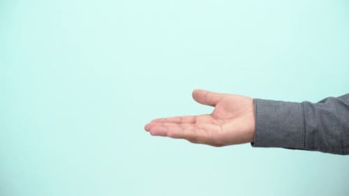 cyber security concept. hand shows virtual shield. protection, virus, data base
