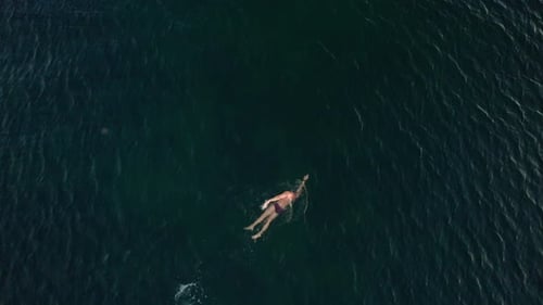 TopDown Perspective Of A Man Freestyle Swimming In The Sea