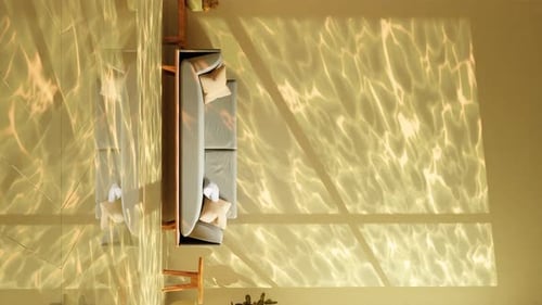 interior design modern apartment living room plant tree leaf shadow windows light on background wall