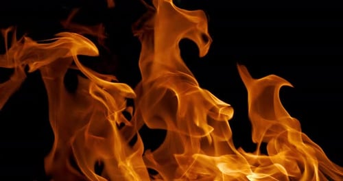 Lebendige Nahaufnahme wirbelnder orangefarbener Feuerflammen vor einem dunkelschwarzen Hintergrund, die Dynamik einfangen